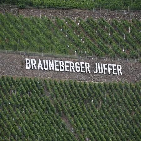 The Wine Cellar In The Old Gemeinde House * Brauneberg