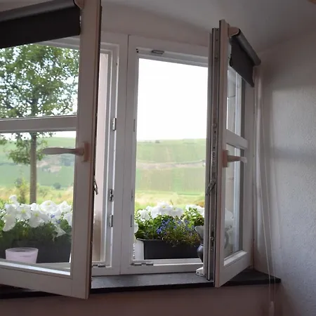 The Wine Cellar In The Old Gemeinde House * Brauneberg
