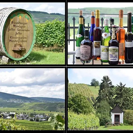 The Wine Cellar In The Old Gemeinde House Brauneberg