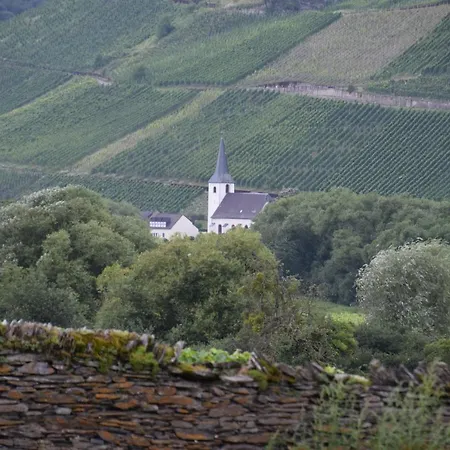 The Wine Cellar In The Old Gemeinde House Apartament Brauneberg