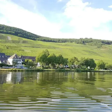 The Wine Cellar In The Old Gemeinde House Apartament Brauneberg