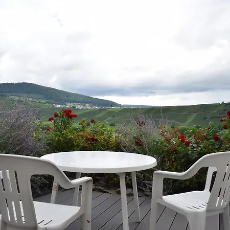 Apartament The Wine Cellar In The Old Gemeinde House *