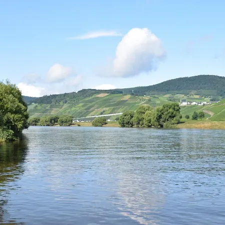 The Wine Cellar In The Old Gemeinde House