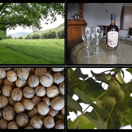 The Wine Cellar In The Old Gemeinde House