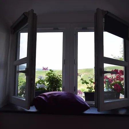 The Wine Cellar In The Old Gemeinde House Brauneberg